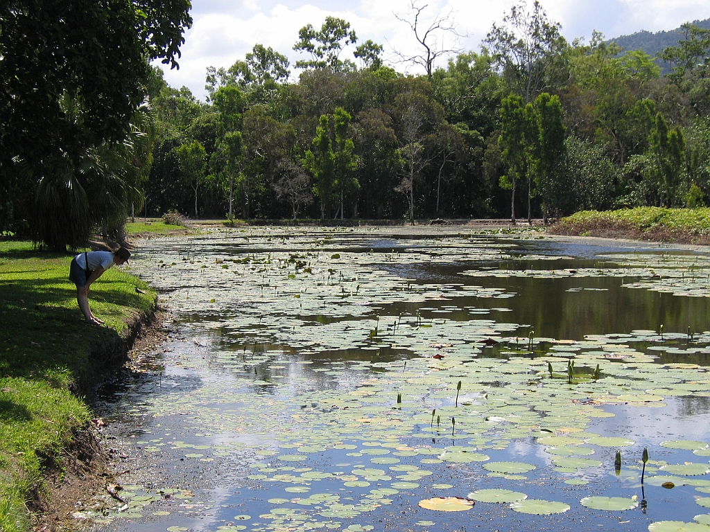CairnsTC062 Centenary Lakes.jpg
